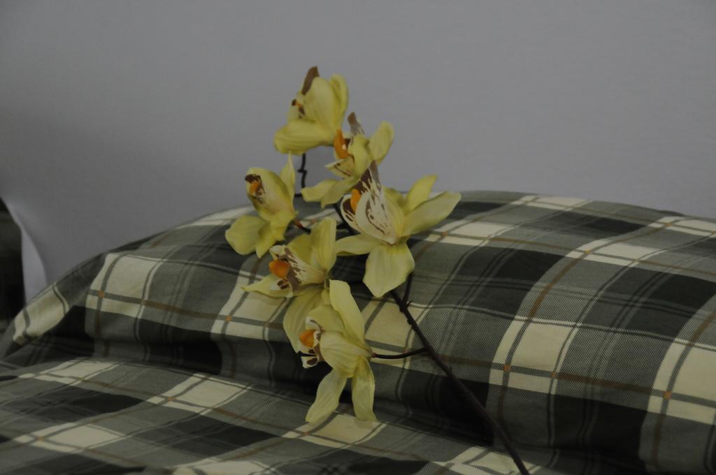 Trebaseleghe Casablanca B&B 외부 사진